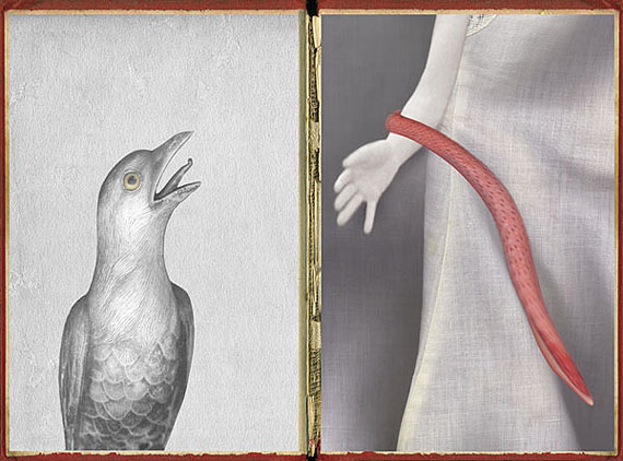 The Pressings #2, 2011Pigment Print85 x 115cmEdition of 8 + 2AP