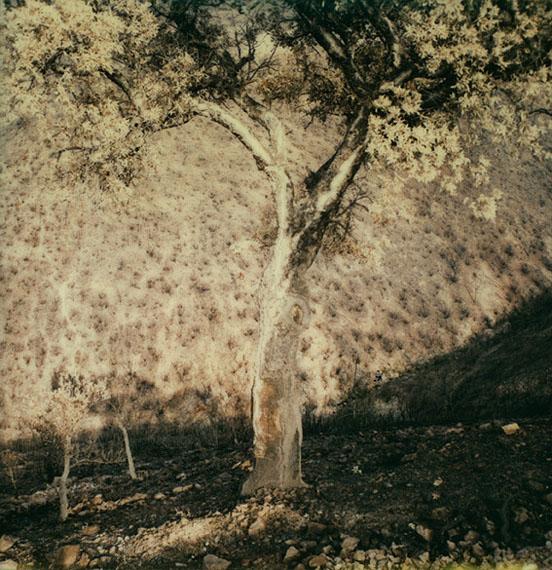 © Knut Wolfgang Maron, from : Bilder über Landschaften