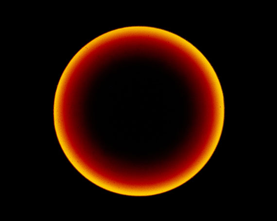 Raphaël Dallaporta, de la série Fragile, Blackbile1, 2010