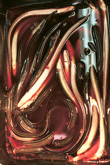 Pietro Mattioli, o.T. (Tokio), 1997Inkjetprint gerahmt, 229 x 153,5 cm, Unikat