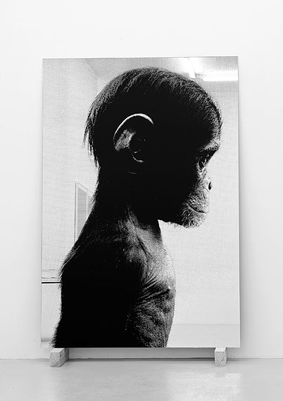 Pietro Mattioli, o.T. (Portrait des Künstlers als junger Affe), 2010, Siebdruck auf Spiegelglas auf Holzsockel, 233 x 150 cm, Unikat