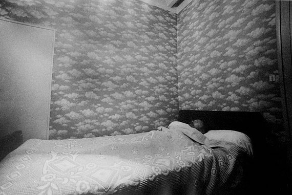 © Kenneth van Sickle