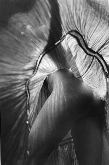 © Kenneth van Sickle