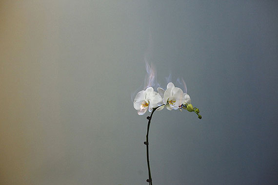 &ldquo;Love Letters No.5&rdquo; (2011) Archival Pigment Print. 60cm x 90cm - Edition of 8 + 2AP&copy; Jiang Zhi. Courtesy of m97 Gallery.