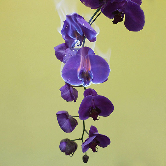 &ldquo;Love Letters No.4&rdquo; (2011) Archival Pigment Print. 60cm x 90cm - Edition of 8 + 2AP&copy; Jiang Zhi. Courtesy of m97 Gallery.