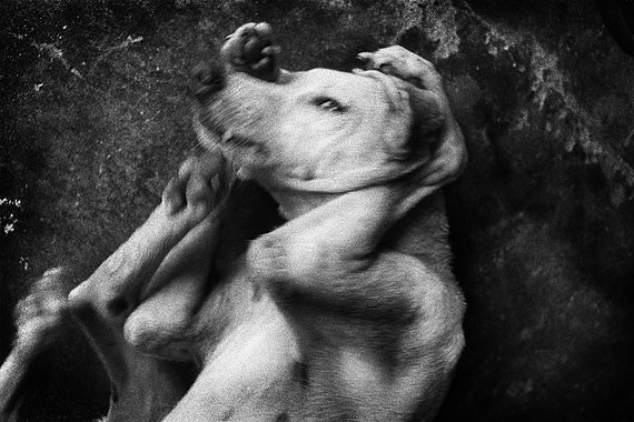 Antoine d’Agata, Untitled, Livingstone, Guatemala 1998. Courtesy Antoine d’Agata / Magnum Photos