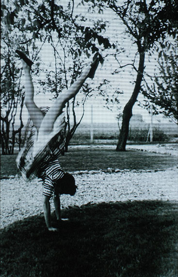 Rosângela RennóBananeira (Bananenbaum), 2006Aus der Serie: Frutos estranhos (Seltsame Früchte), 2006Bild- und Tonanimation auf tragbarem DVD-Player, Länge: 10’Courtesy Sammlung Sarmento, Estoril, PortugalFoto: Thiago Barros© Rosângela Rennó