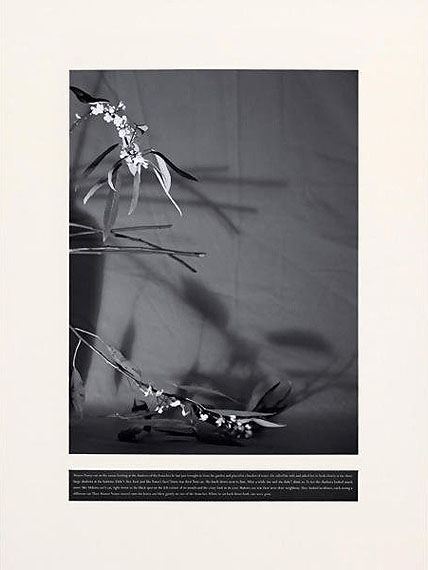 Joao PenalvaMaster Nanyo&rsquo;s two cats, 2010Pigment print on Hahnem&uuml;hle Photo RagBright White 310 g paper dry-mounted on Dibond, card, acrylic glass, oak frameFramed 183 x 138 cm One of edition of 3 + 1 A.P. (This is 2/3)Courtes Sage Paris
