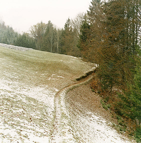 Bernhard Fuchs, Pfad, Helfenberg, 2004Sammlung Nieders&auml;chsische Sparkassenstiftung, Hannover&copy; Bernhard Fuchs 2012