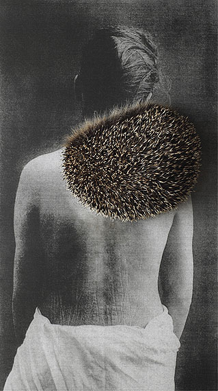 © Paula Muhr