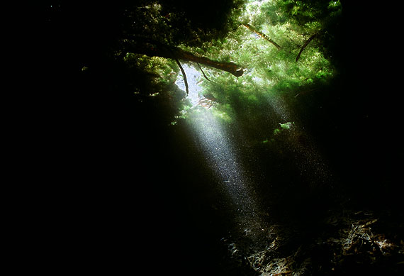 Untitled #17, 2012from Water holeType C Print82 x 120cm, Edition of 8 +2AP