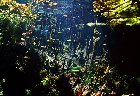 Untitled #4, 2012from Water holeType C Print82 x 120cm, Edition of 8 +2AP