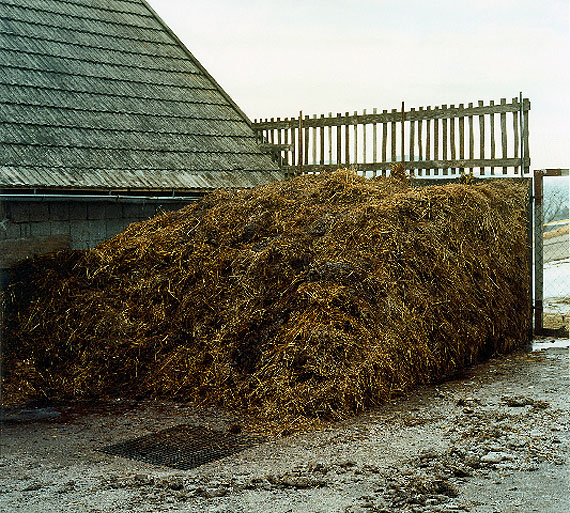 Bernhard Fuchs, Misthaufen, Uttendorf, 2009