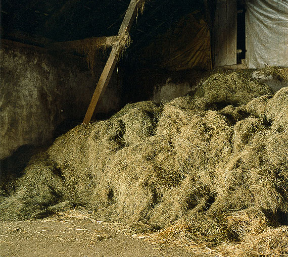 Bernhard Fuchs, Heuhaufen, Neuschlag, 2009