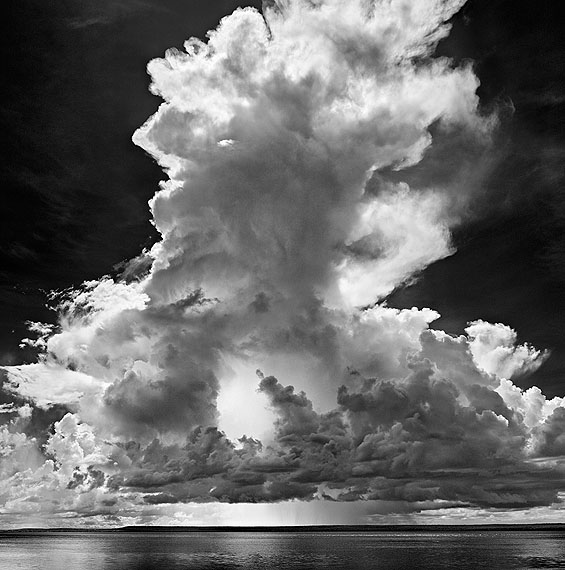 Hector #8, 2011Digital pigment print on cotton rag paper68 7/8 x 55 1/8 in. (175 x 140 cm.)Edition of 7