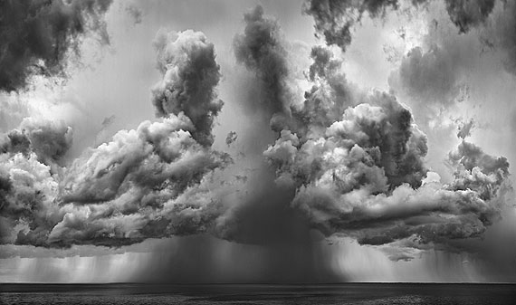 Hector #22, 2012Digital pigment print on cotton rag paper  47 1/4 x 79 7/8 in. (120 x 203 cm.)Edition of 7