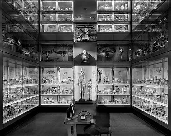 rencontre lili liege