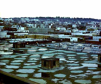 Sans Titre No.34, 1998