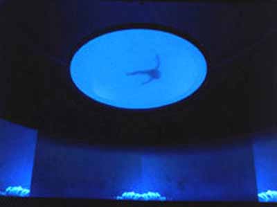 © Doug Aitken, new ocean