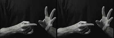 Gary Hill: Stillbilde fra Twofold (Goats and Sheep), 1995/2001-02