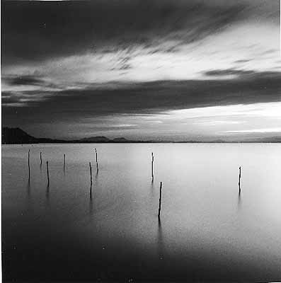 Sticks in Water, Shinji Lake, Honshu, Japan. 2001