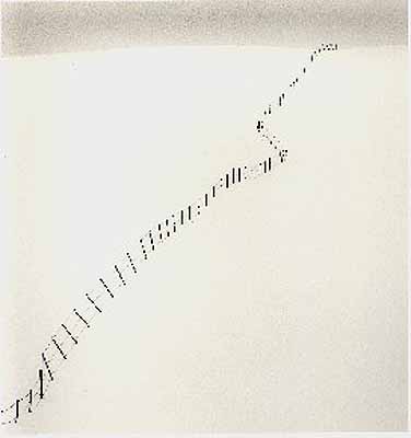 Hillside Fence, Study 2, Teshikaga, Hokkaido, Japan. 2002