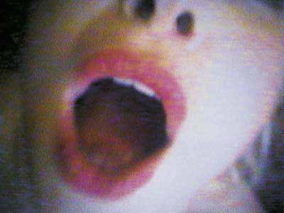 Pipilotti Rist, Mutaflor für Wien, l996, DVD-color