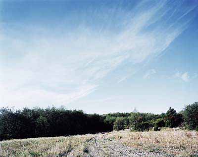 Landscape 2002