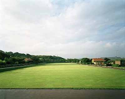 BRITISH WELLFLATTENED GREEN GRASS RECTANGLE