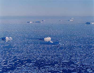 JORMA PURANEN - Sarjasta White-out, 2002