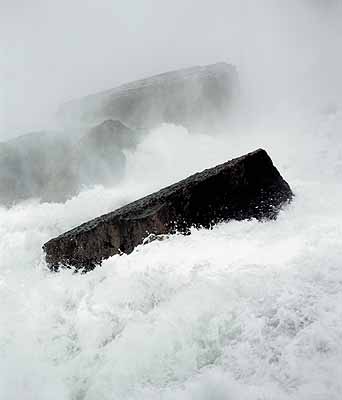 Sonja Braas, Forces 1, 2002