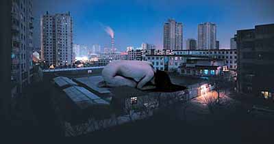 Chen Lingyang . 25:00 n. 1, 2002