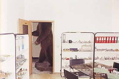 Brown Bear, Bubenreuth, Germany, 2002