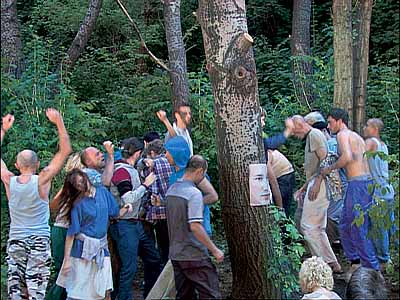 Park, 2002, Video installation