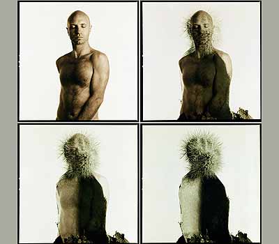 RES, Argentina . Yo Cacto, 1996, 4 fotos
