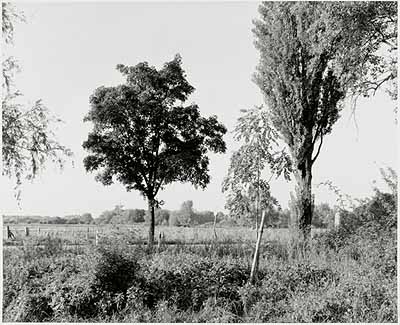 Wilkenburg, September 1992 (aus der Serie Landschaften, 1992), Silbergelatineabzug © Heinrich Riebesehl