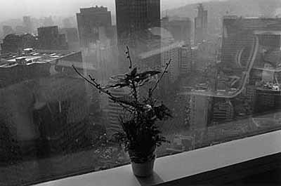 Lim Young Kyun (ROK)