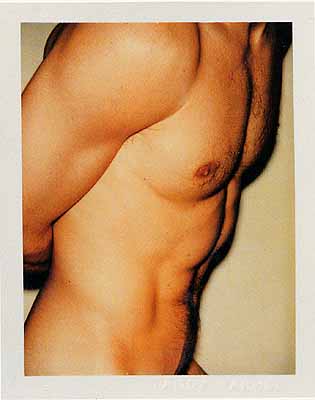 Torso 1977, Polacolor Type 108, 10,8 x 8,6 cm
