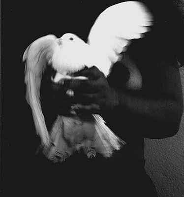 Irma with dove, Mexico, 2000
Silver gelatin print