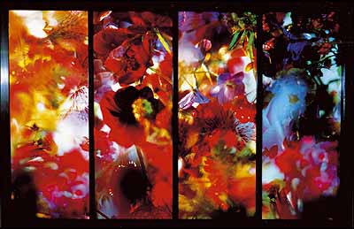 Marie-Jo Lafontaine . Lost Paradise . 2001