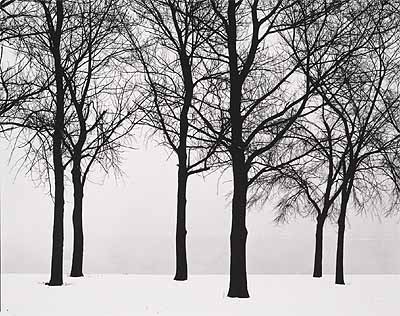 Harry Callahan, Chicago, 1950. Gelatin silver print. © The Estate of Harry Callahan