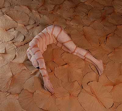 crustaceo 2003 . 110 x 100 cm