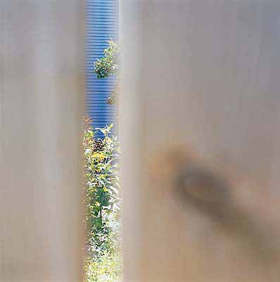 Lisa Klapstock
4* Garnet Avenue
2001-2002
C-print, 17.5 x 17.5 inches