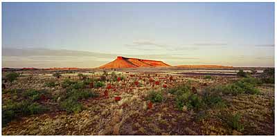 ROSEMARY LAING: One Dozen Unnatural Disasters in the Australian Landscape, Brumby Mound #6, 2003
C-print, mounted and framed, 85 x 135,7 cm, Ed. 8 (courtesy:Galerie Conrads, Düsseldorf)