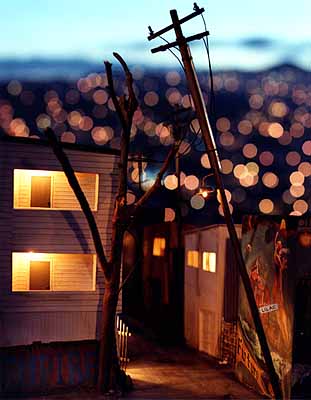 © Tracey Snelling, Lilac chromogenic print, 38x30” 2003
also a detail of sculpture Alley, 2003 25x25x38 inches