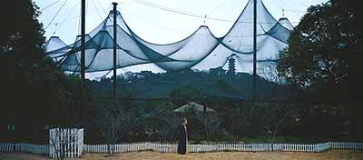 Miao XiaochunFliegen, Fly2002