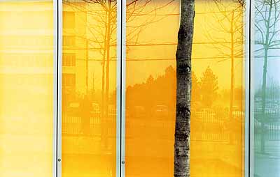 Ola Kolehmainen, 2004. A Composition with a Tree.