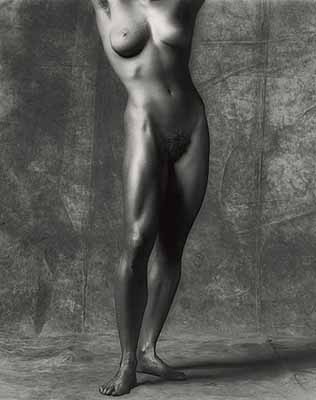 Robert Mapplethorpe
Lisa Lyon
1981
Solomon R. Guggenheim Museum, New York, Gift, Robert Mapplethorpe Foundation
Copyright © 2001—2005 Moscow House of Photography