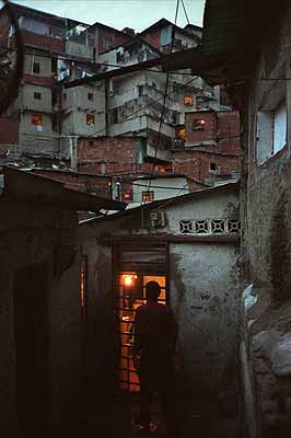 © David Damoison