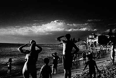 © Trent Parke Five-metre shark, Cottesloe Beach, WA 2004Courtesy Magnum Photos, London and Stills Gallery, Sydney